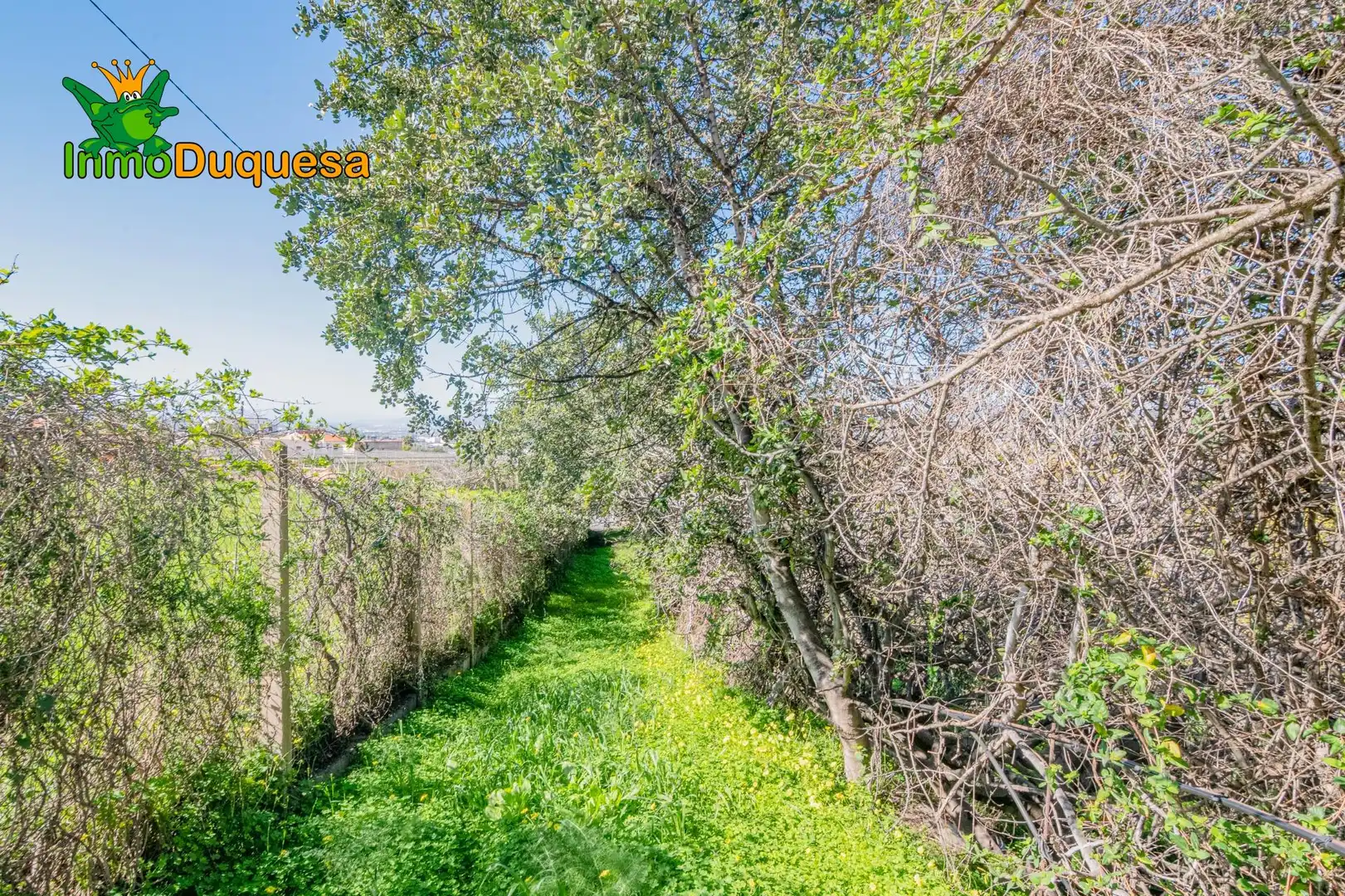Detached house with pool for sale in Los Tablones - La Garnatilla, imagen 58