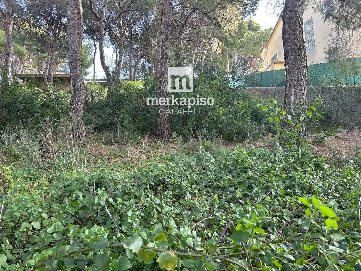 Rural land for sale in Segur de Calafell, imagen 9