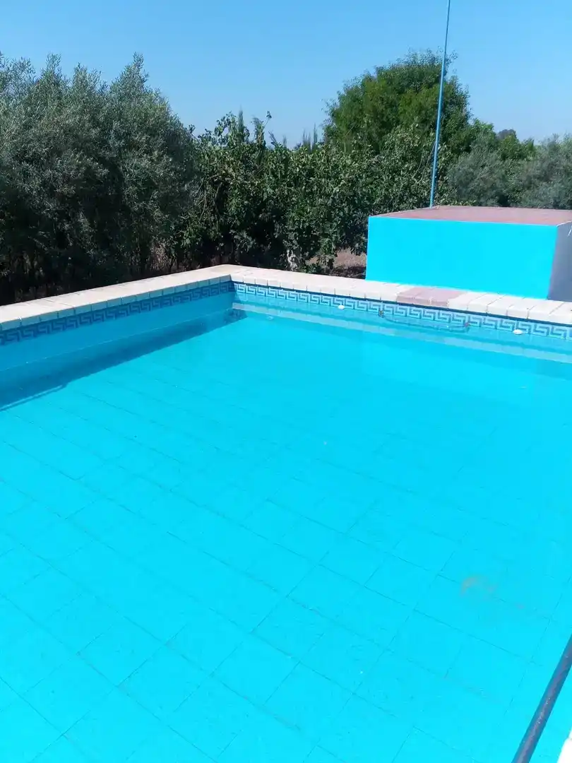 Piscina de Finca rústica en venta en Utrera con Aire acondicionado, Piscina y Amueblado
