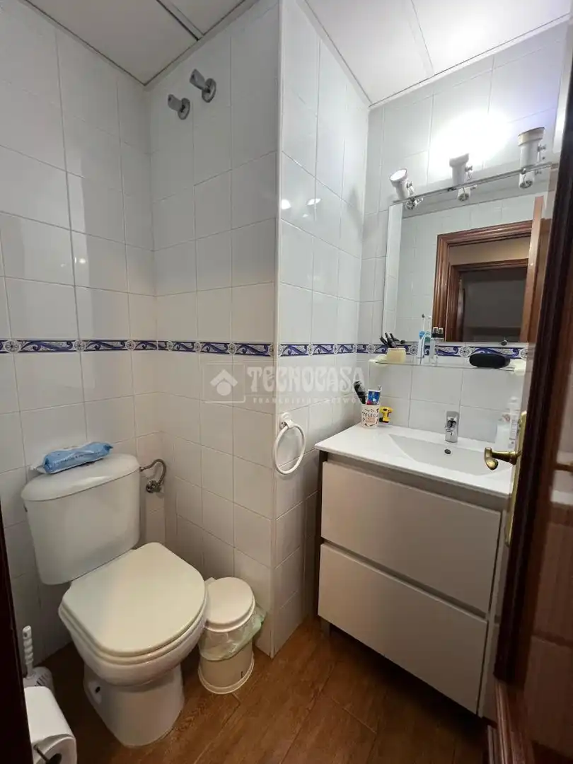 Bathroom of Detached homes for sale in Dos Hermanas