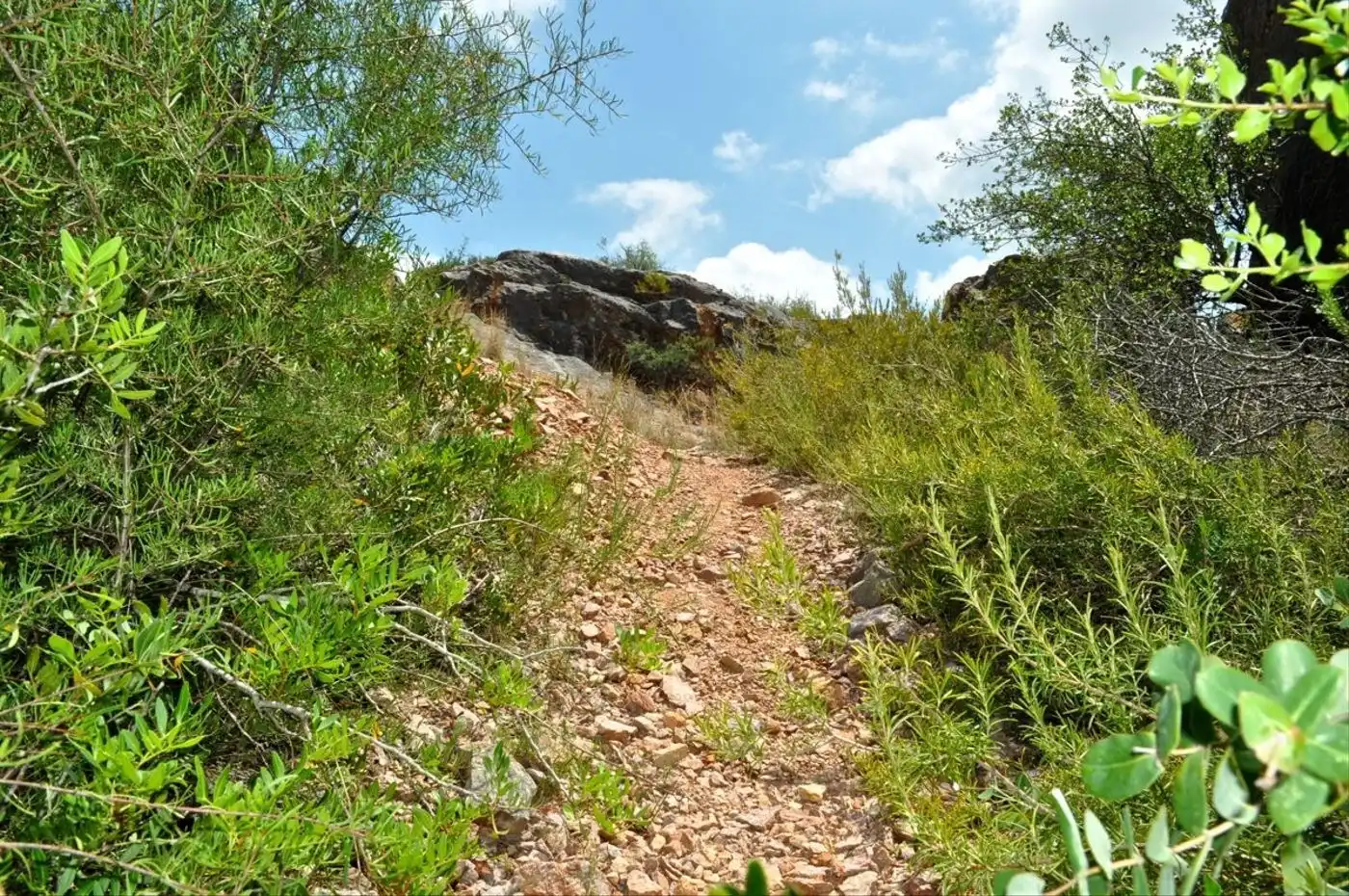 Land for sale in Camí del Barranc de la Llet, 26, Sant Llàtzer
