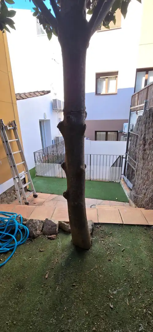 Jardí de Casa adosada en venda en Alella amb Aire condicionat, Jardí privat i Parquet
