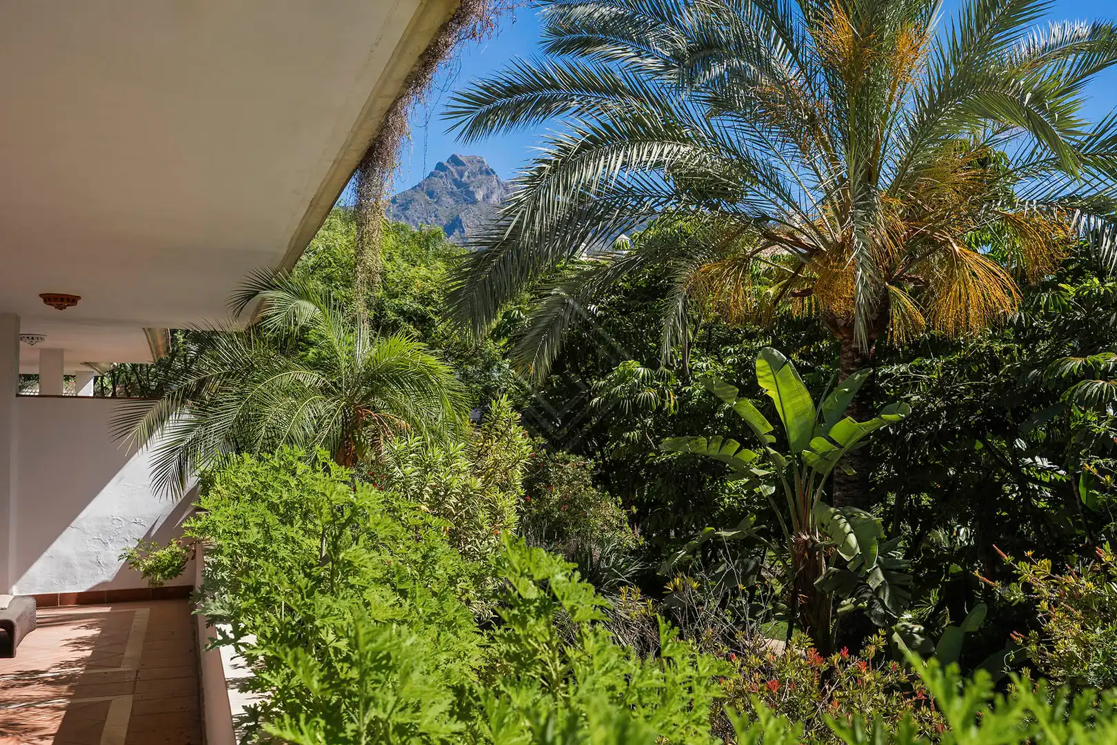 Apartament amb piscina en venda a Milla de Oro, imagen 21