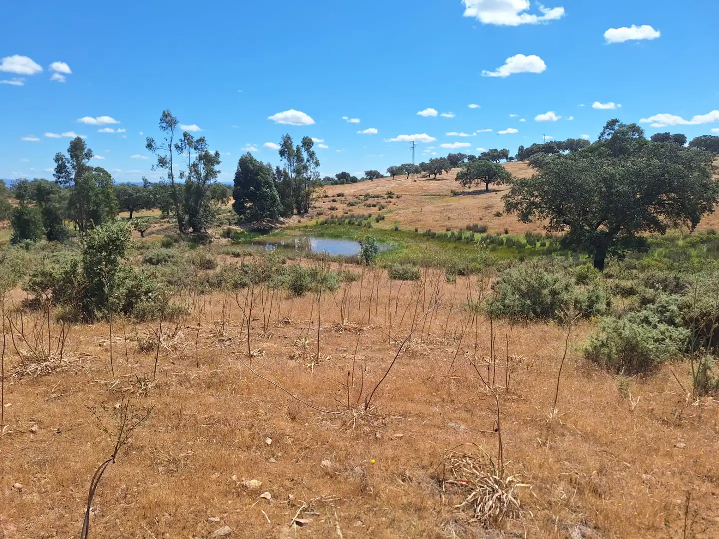 Land for sale in Calle Colon, 15, Tharsis