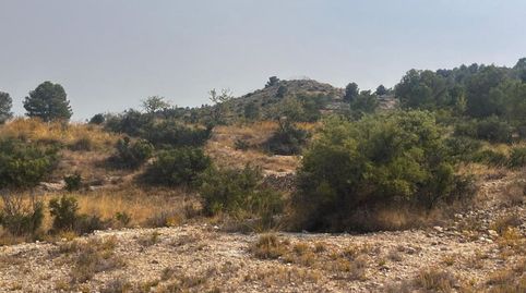 terreno en venta , immagine 3