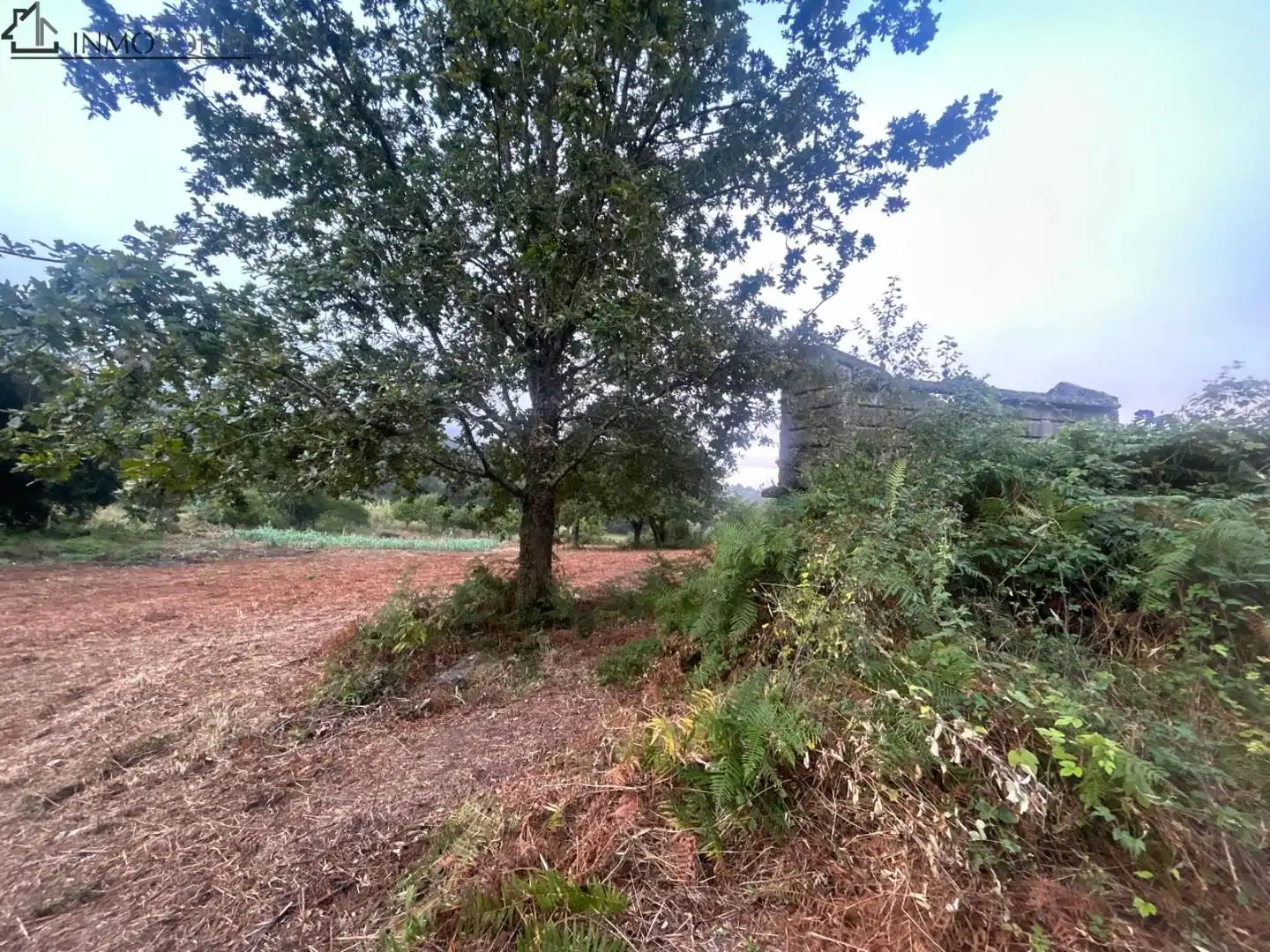 Terrenys i solars en venda a Parroquias Rurales, imagen 12