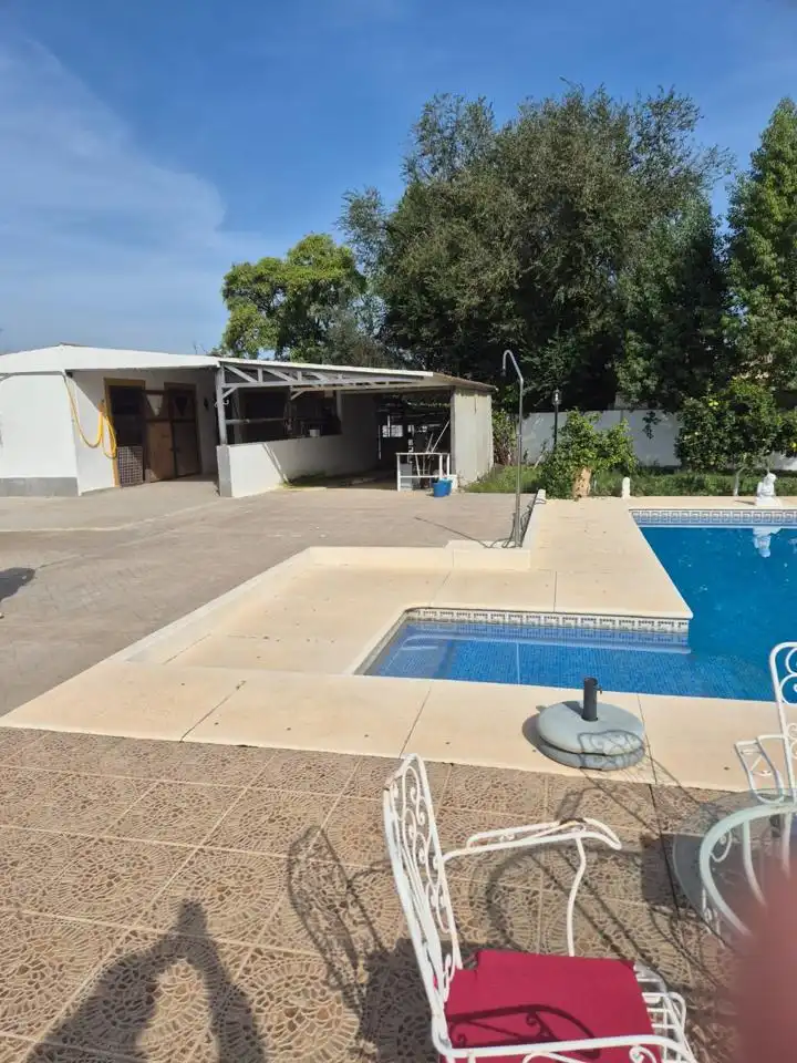 Piscina de Casa o chalet en venta en Palomares del Río con Aire acondicionado, Jardín privado y Terraza