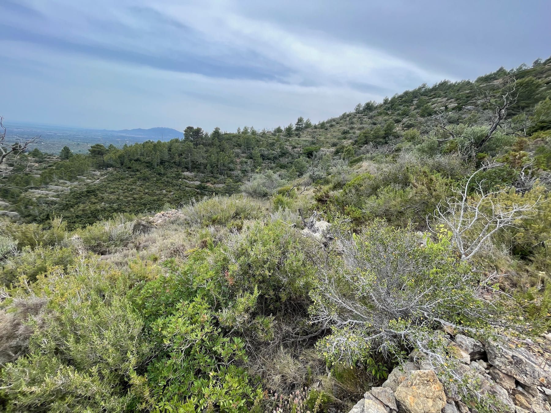Industrial land for sale in Tortosa