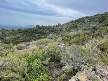 Terreno residencial en venta en Urbanitzacions