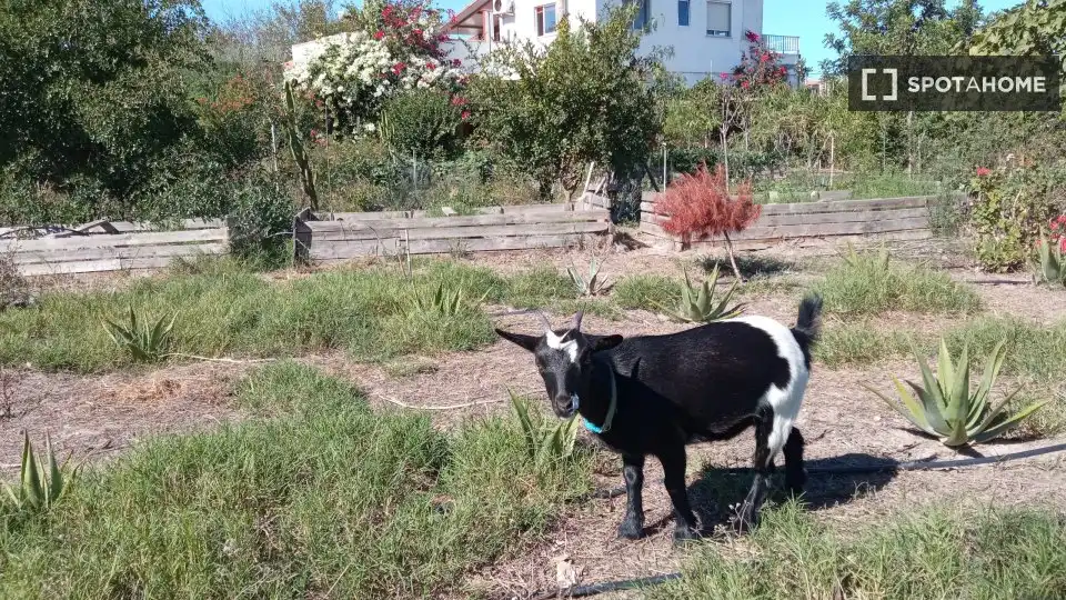 Jardín de Piso de alquiler en Valencia con Aire acondicionado, Calefacción y Amueblado