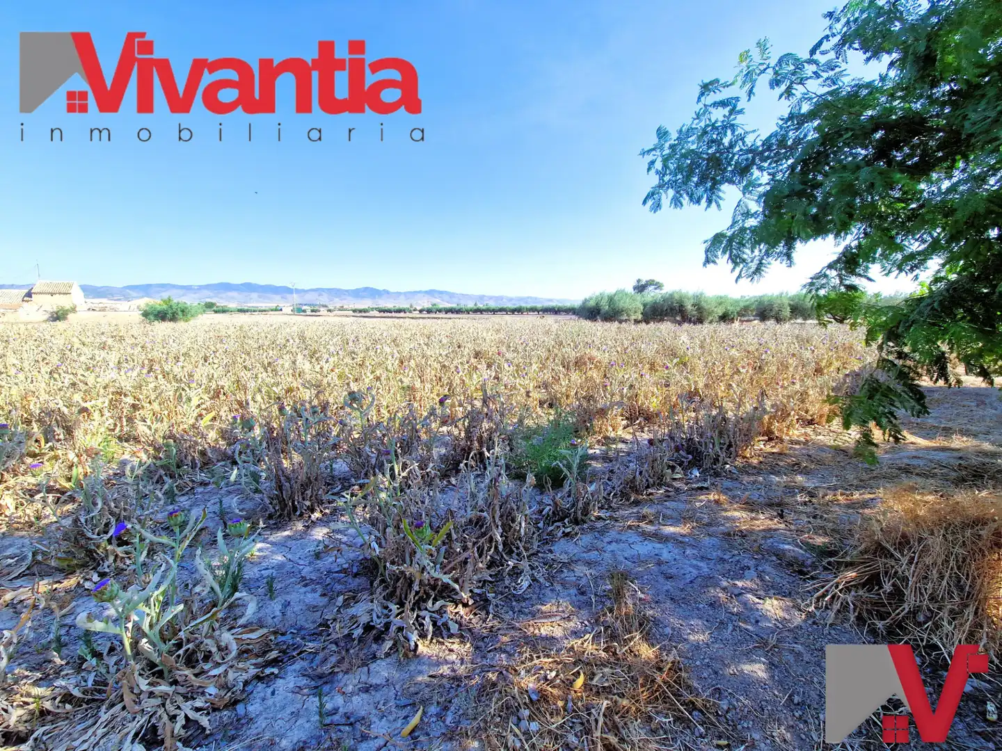Houses for sale in Lorca  with Air Conditioner, Private garden and Terrace
