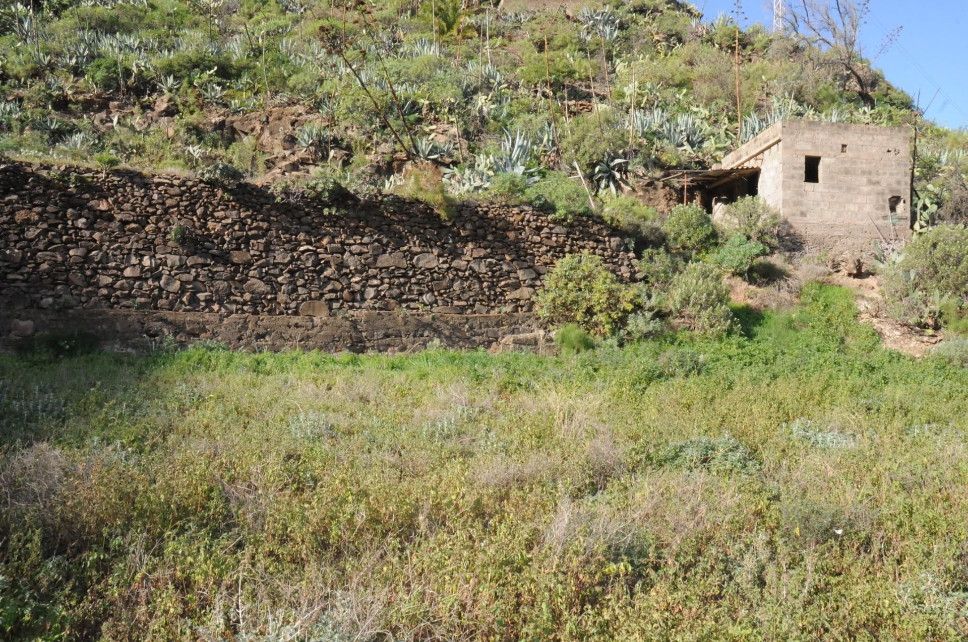 Land for sale in Telde