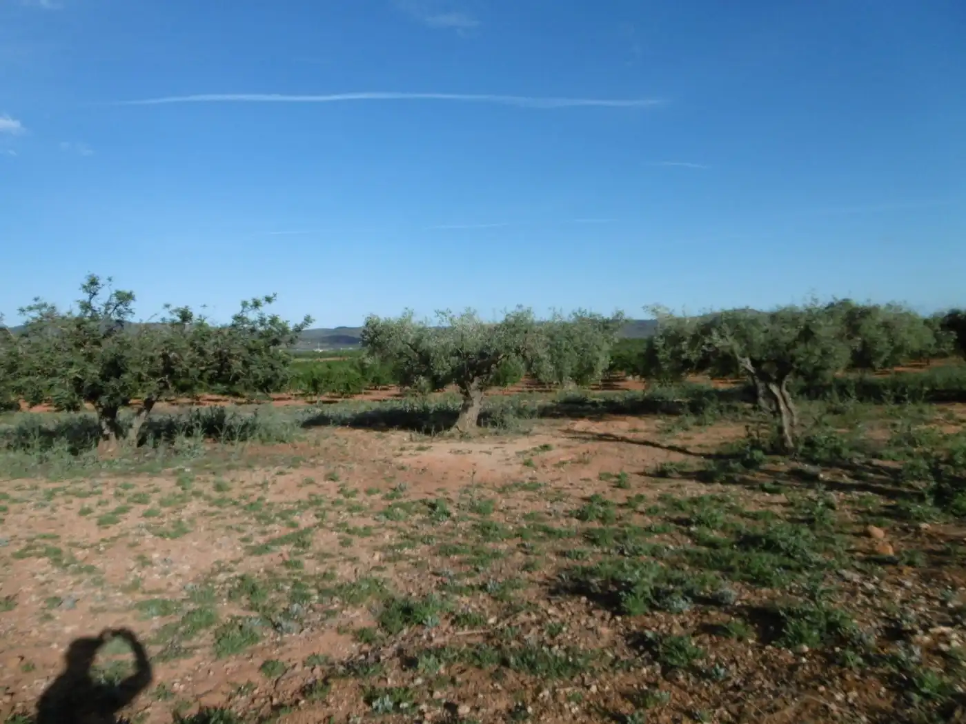 Terrenys i solars en venda a Vall d'Alba, imagen 6