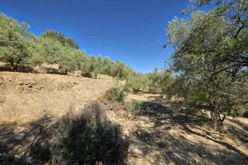 Terreno rustico in vendita a El Pinar, imagen 20