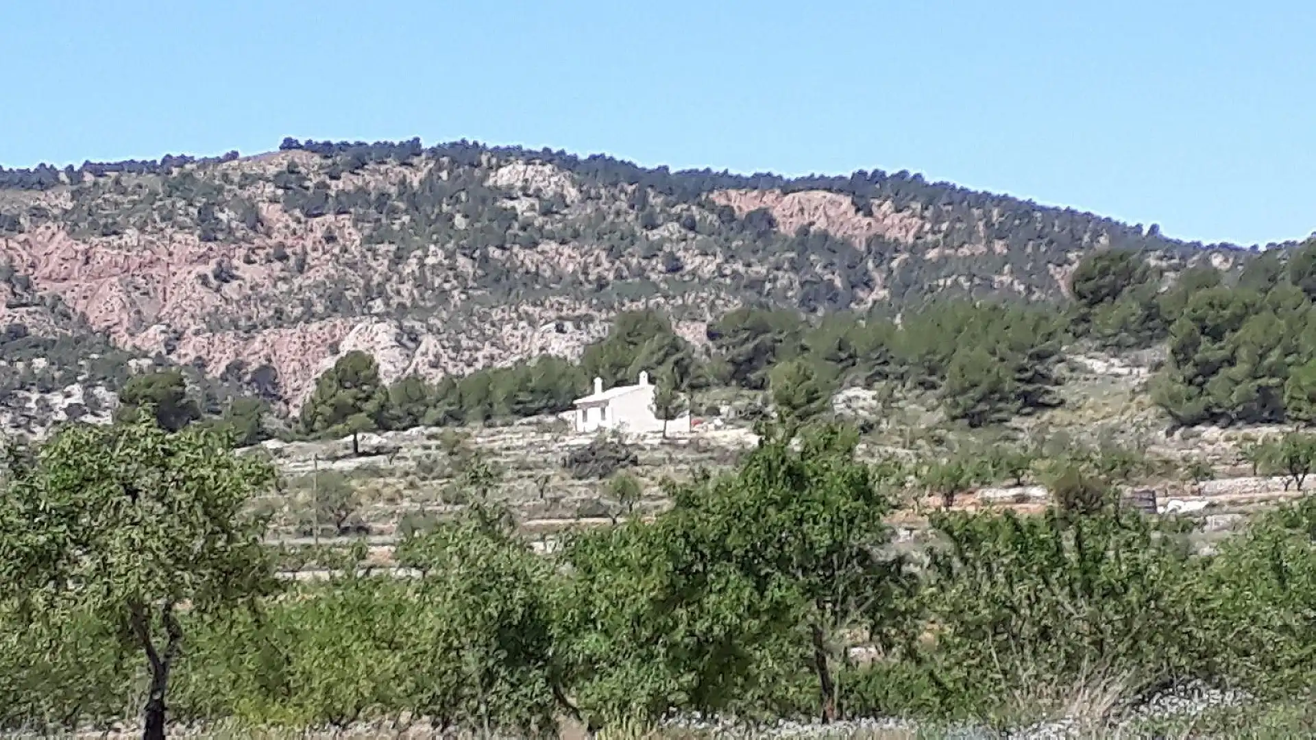 Landhaus zum Verkauf in El Pinós / Pinoso, imagen 14