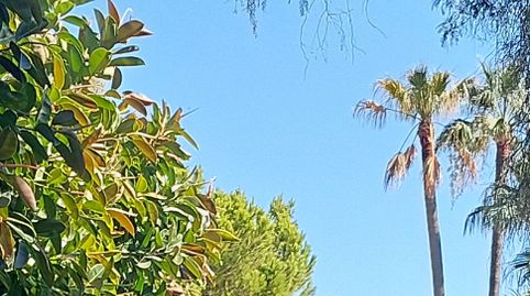 Foto 5 de Àtic en venda a Calle de la Rosa, Paraiso - Barronal, Estepona