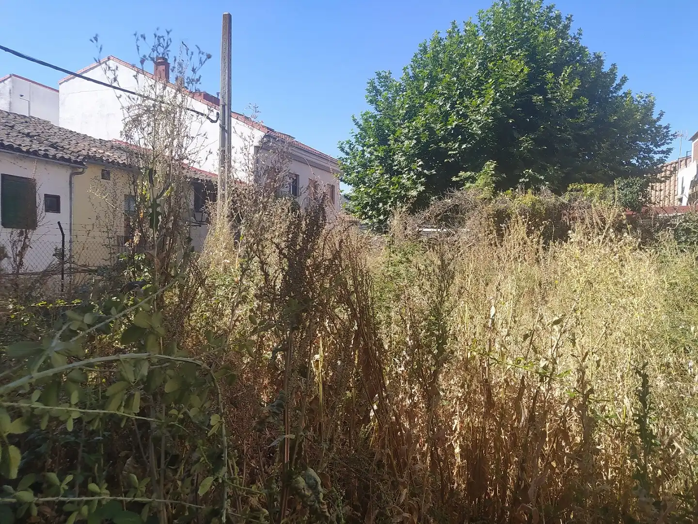 Finca rústica en venda en El Barco de Ávila  amb Jardí privat
