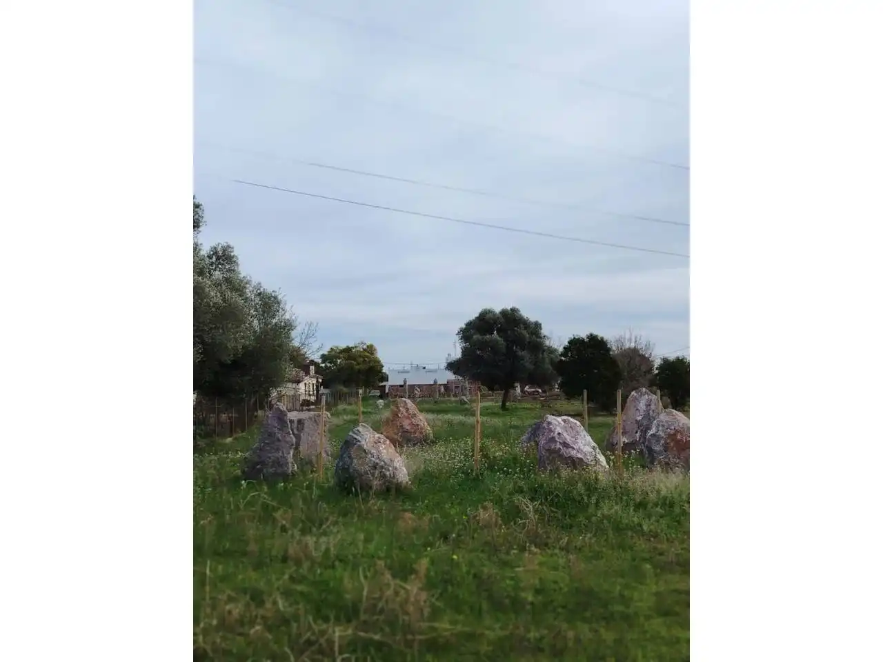 Terreny rústic en venda a Camino Donació, imagen 11
