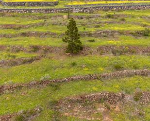 Land for sale in Adeje