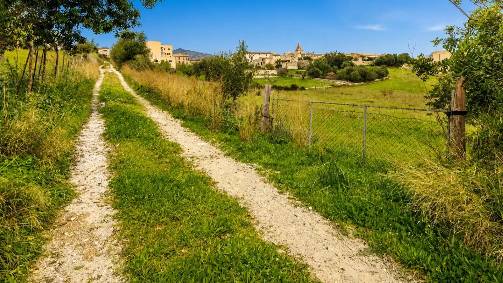 Residential for sale in Selva