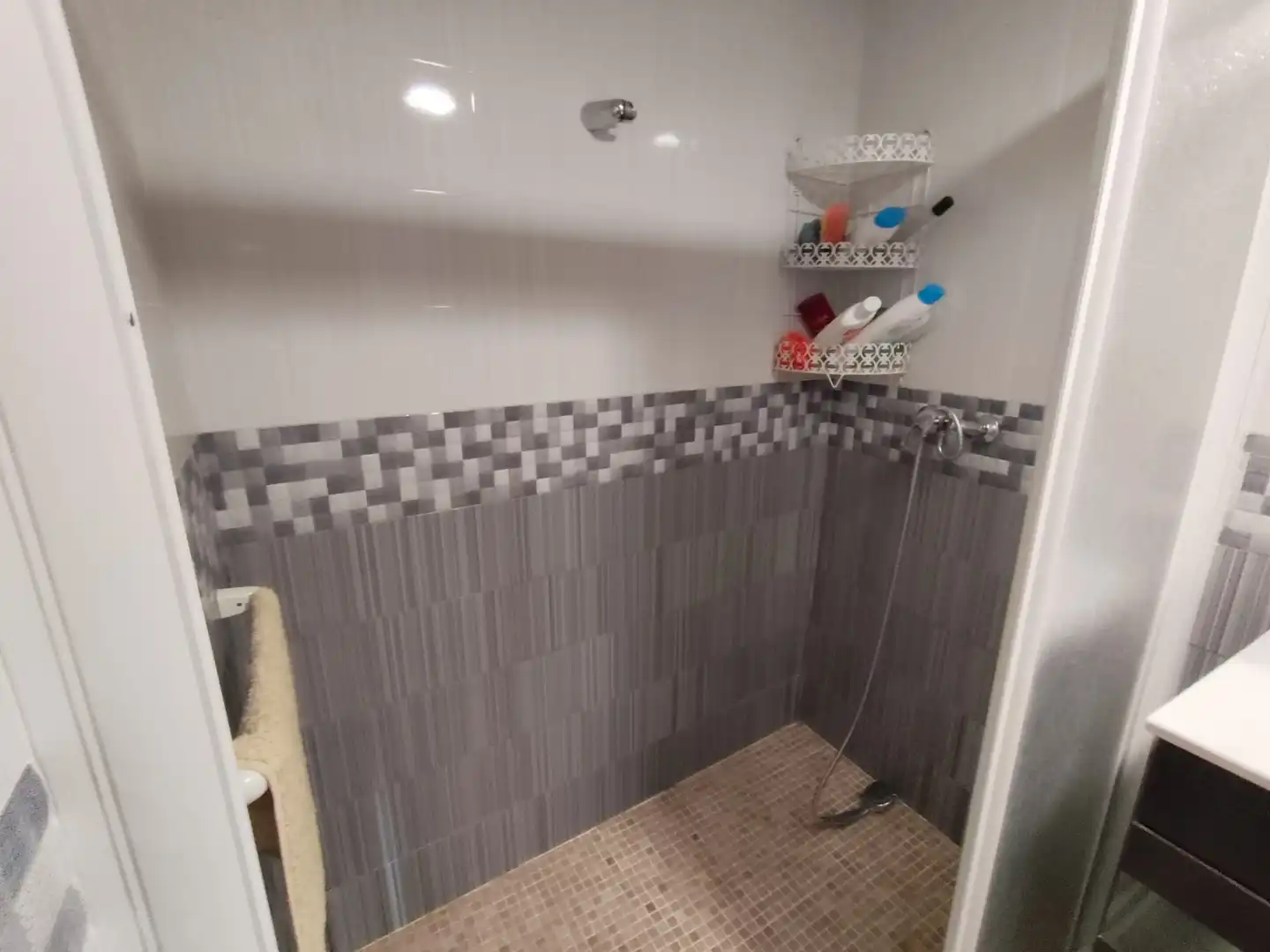 Bathroom of Houses for sale in La Calahorra  with Terrace, Storage room and Furnished