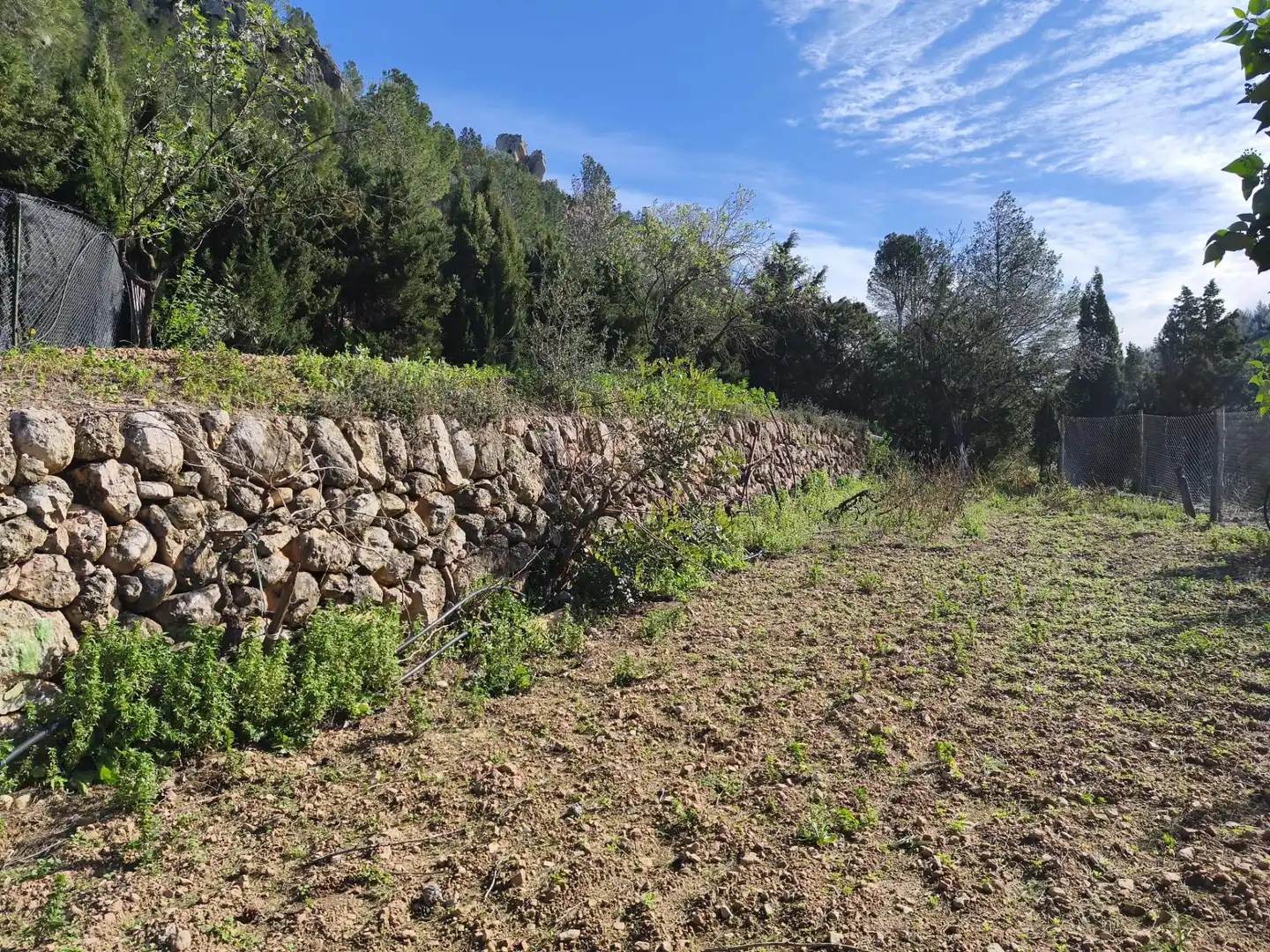 Casa con jardín en venta en Alfara de Carles, imagen 32