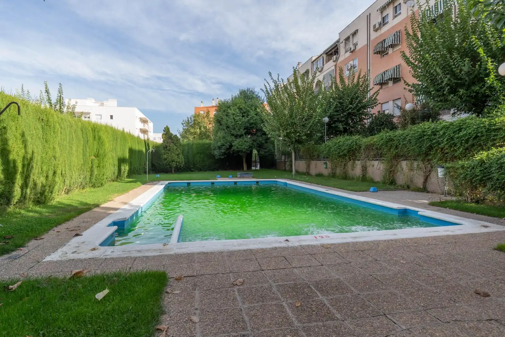 Piso con piscina en venta en Norte, imagen 66