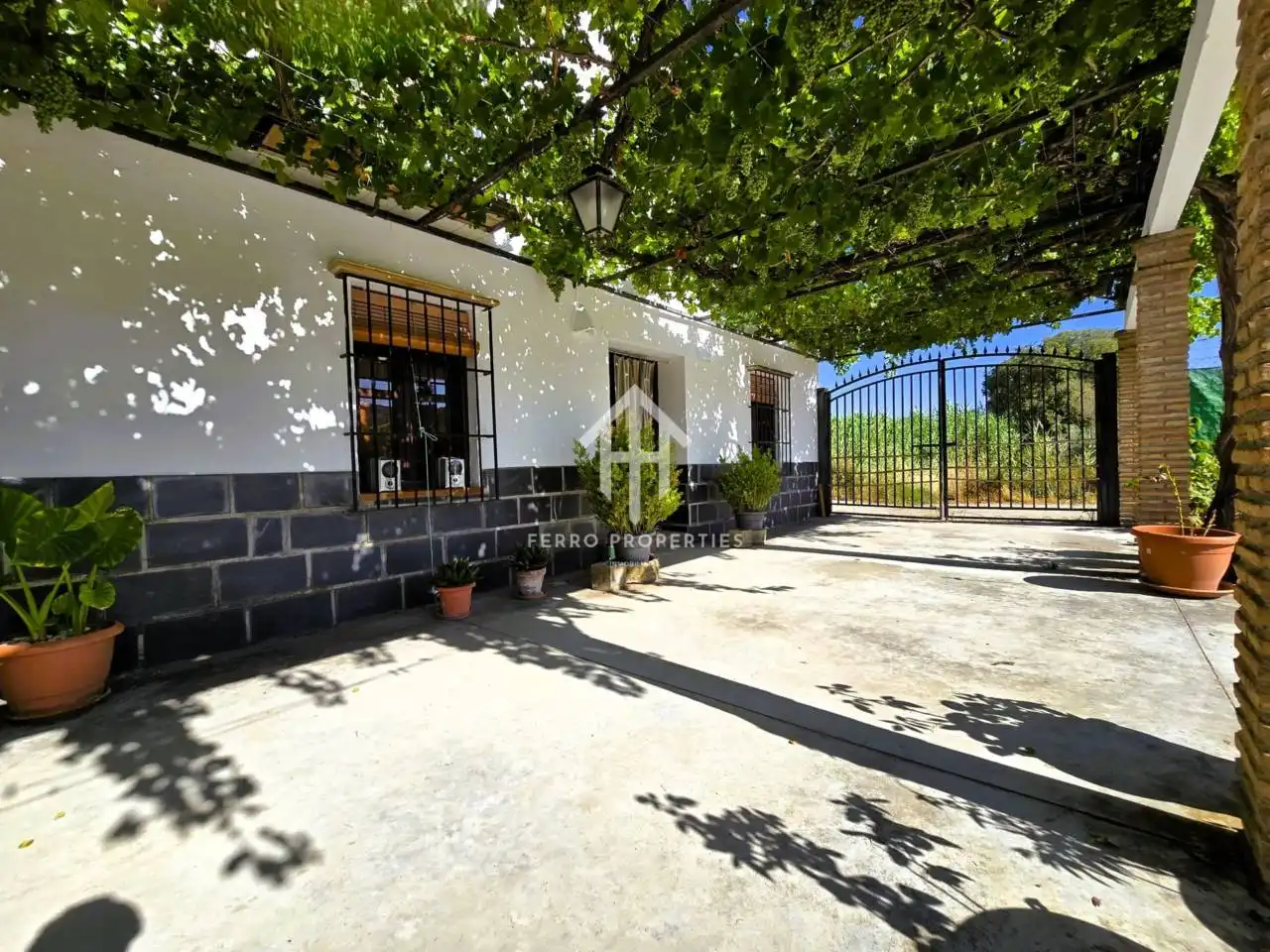 Vista exterior de Casa o chalet en venta en Salar con Jardín privado, Terraza y Piscina