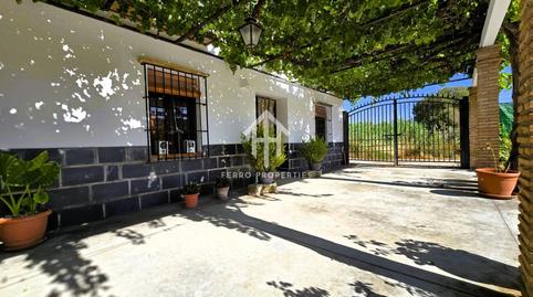 Photo 3 of House or chalet for sale in Salar, Granada