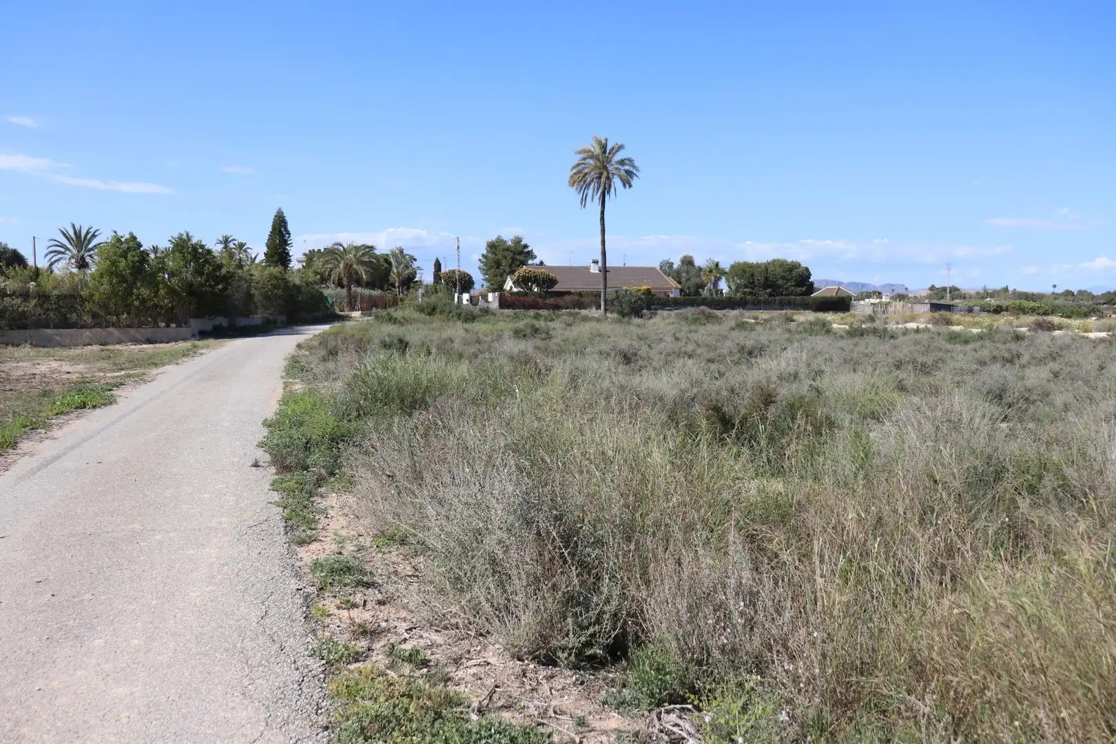 Grundstücke zum Verkauf in Elche / Elx