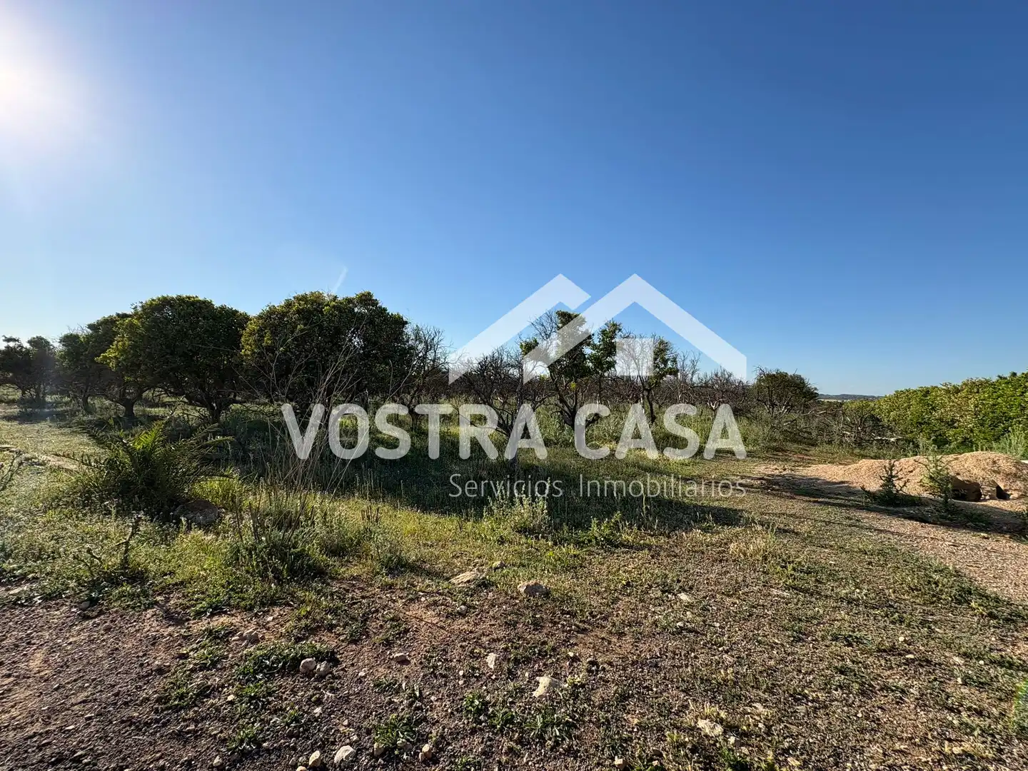 Land for sale in Chiva