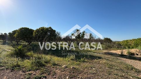 Photo 4 of Land for sale in 20, -1, La Loma, Chiva
