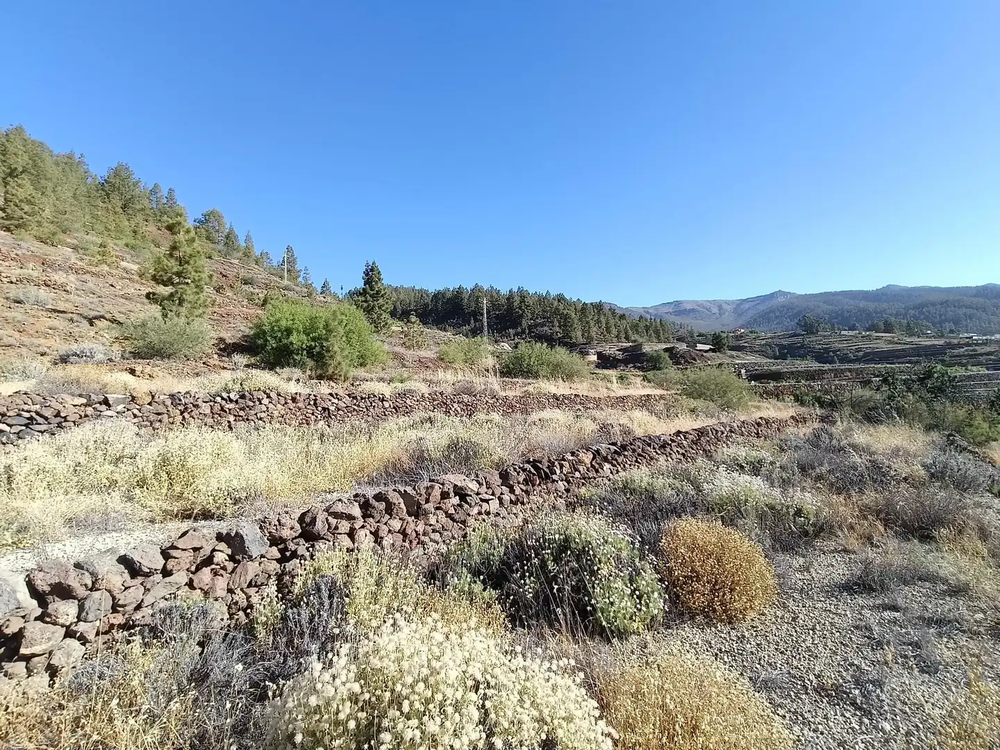 Terreno rústico en venta en M\A LIRIOS. VILAFLOR DE CHASNA [S.C. TENERIFE], imagen 3