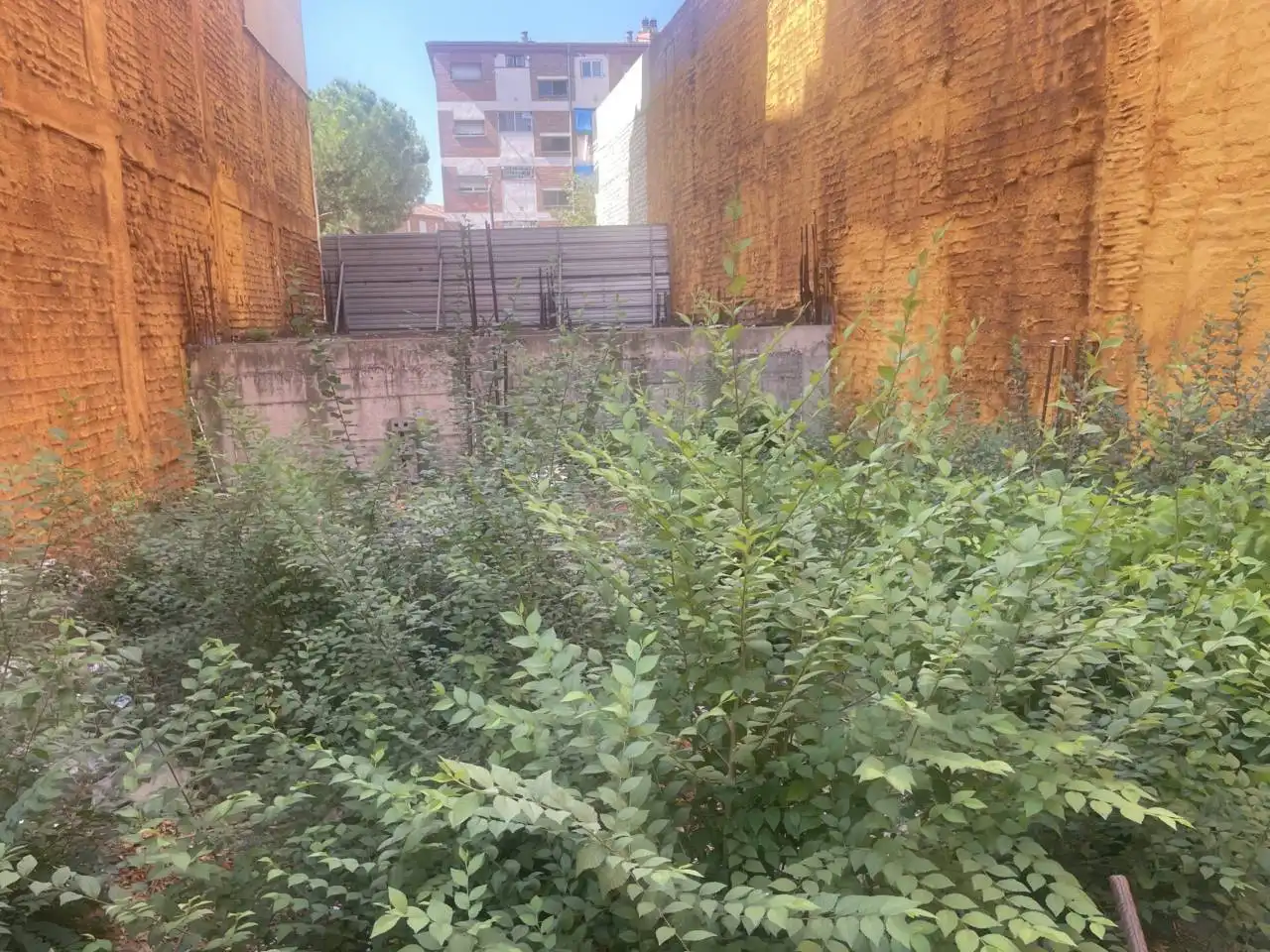 Terrain rustique à vendre à Calle Germans Izquierdo, imagen 5