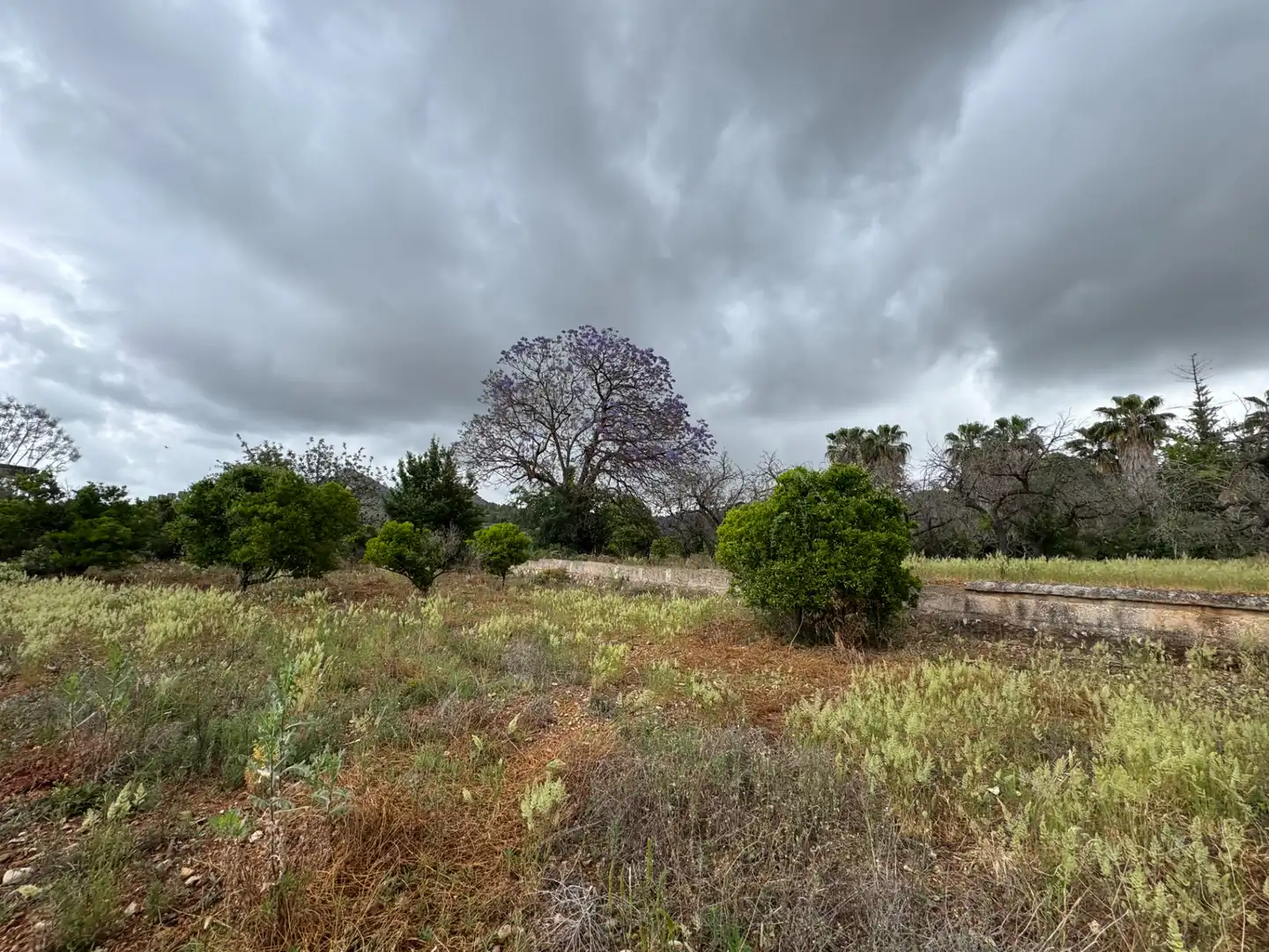 Casa o chalet en venta en Carretera Pedreguer-Benidoleig, Pedreguer