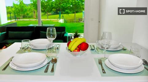 Photo 5 of Apartments for share in Casares pueblo, Casares