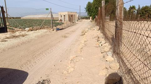 Foto 4 de Terreno en venta en La Marina, Alicante