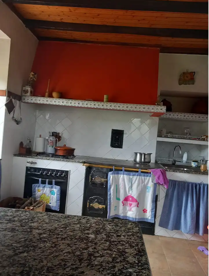 Cocina de Finca rústica en venta en Tineo con Jardín privado, Parquet y Terraza