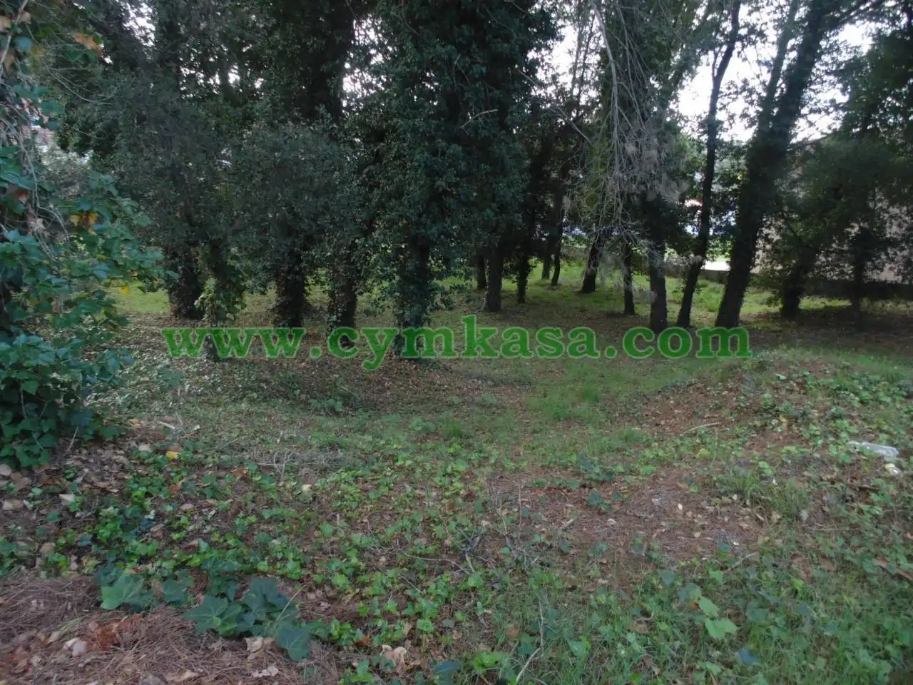 Residential land for sale in Sils, imagen 4