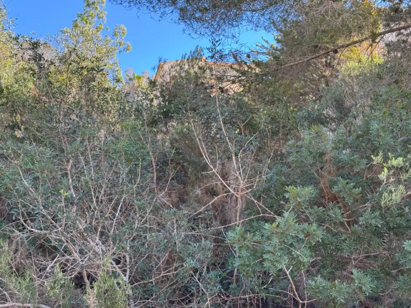 Terreny residencial en venda a Cumbre del Sol, imagen 13