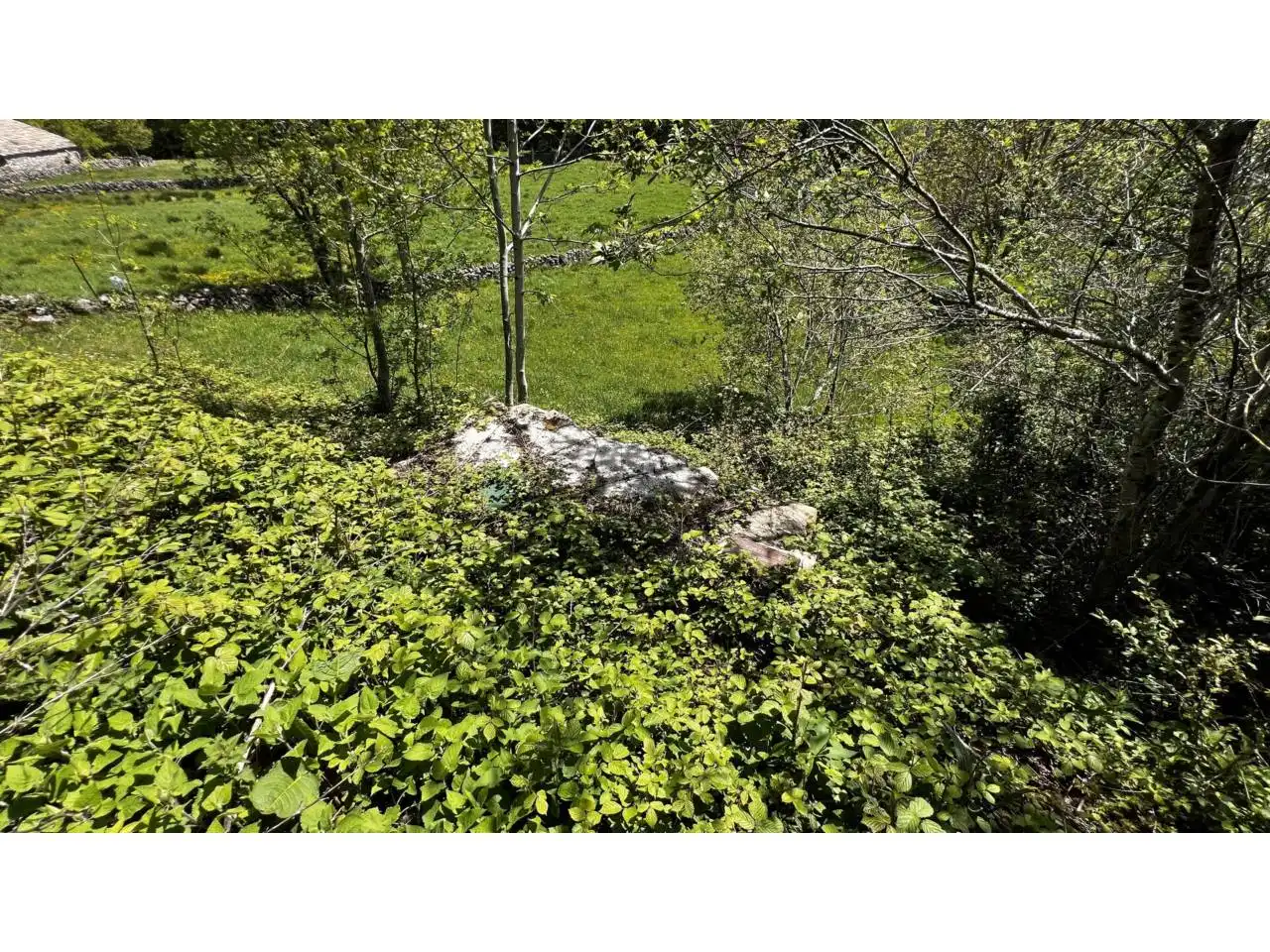 Casa o xalet en venda en Espinosa de los Monteros amb Jardí privat i Terrassa
