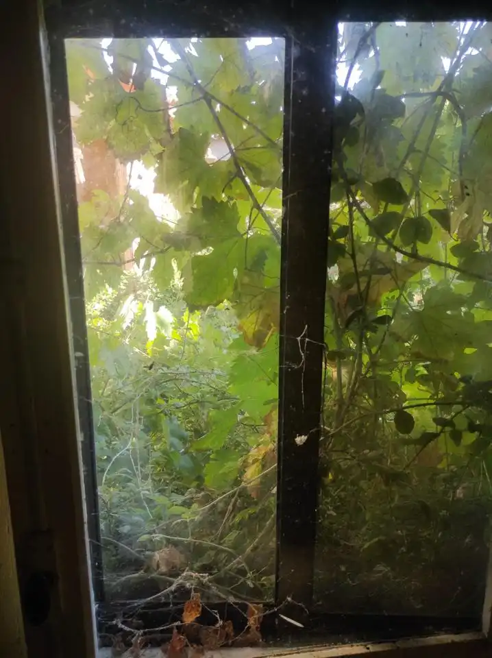 Jardí de Casa o xalet en venda en Valderrey
