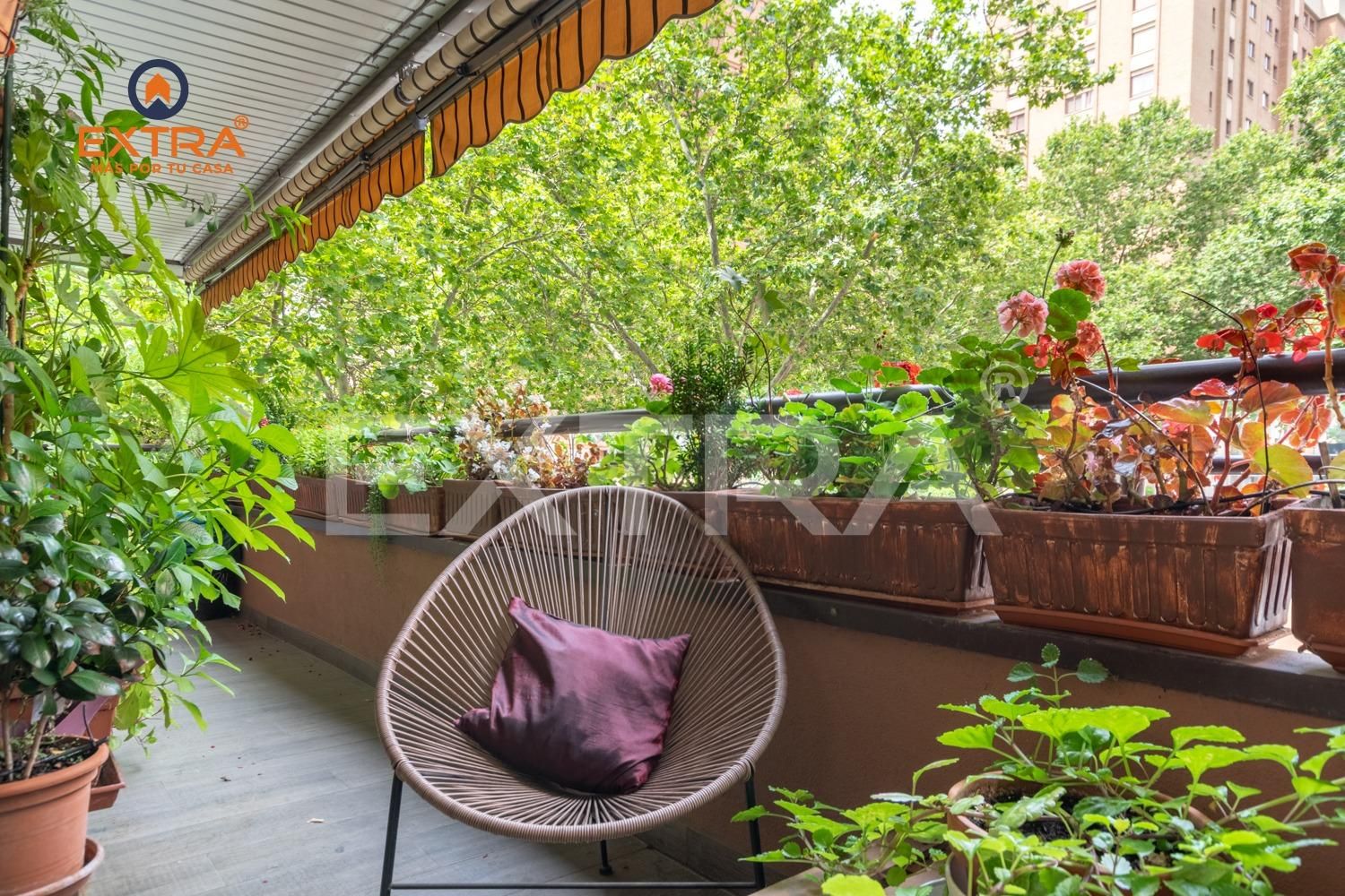 Terrassa de Pis en venda en  Madrid Capital amb Calefacció, Jardí privat i Terrassa