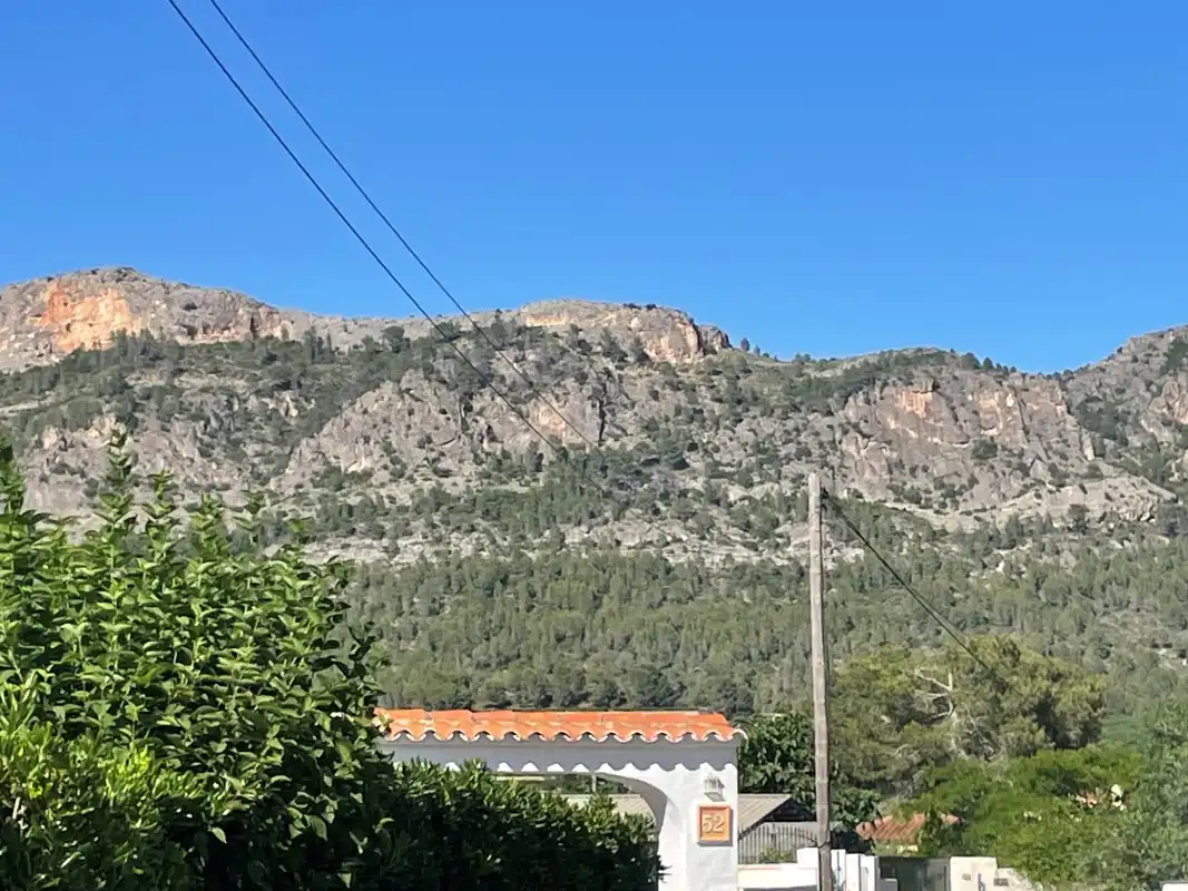 Terrain rustique à vendre à Partida Bases 254, imagen 28