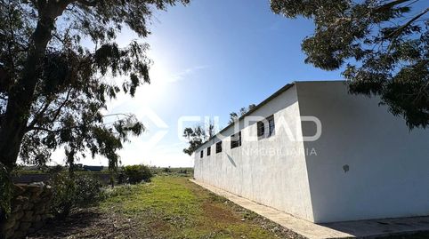 Foto 5 de Finca rústica en venta en Ctra Jerez - Ctra del Puerto, Sanlúcar de Barrameda