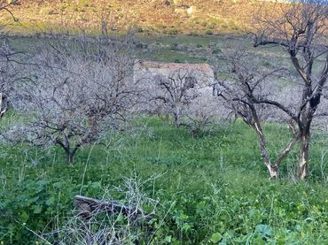 Terreno residenziale in vendita a La Aldea de San Nicolás