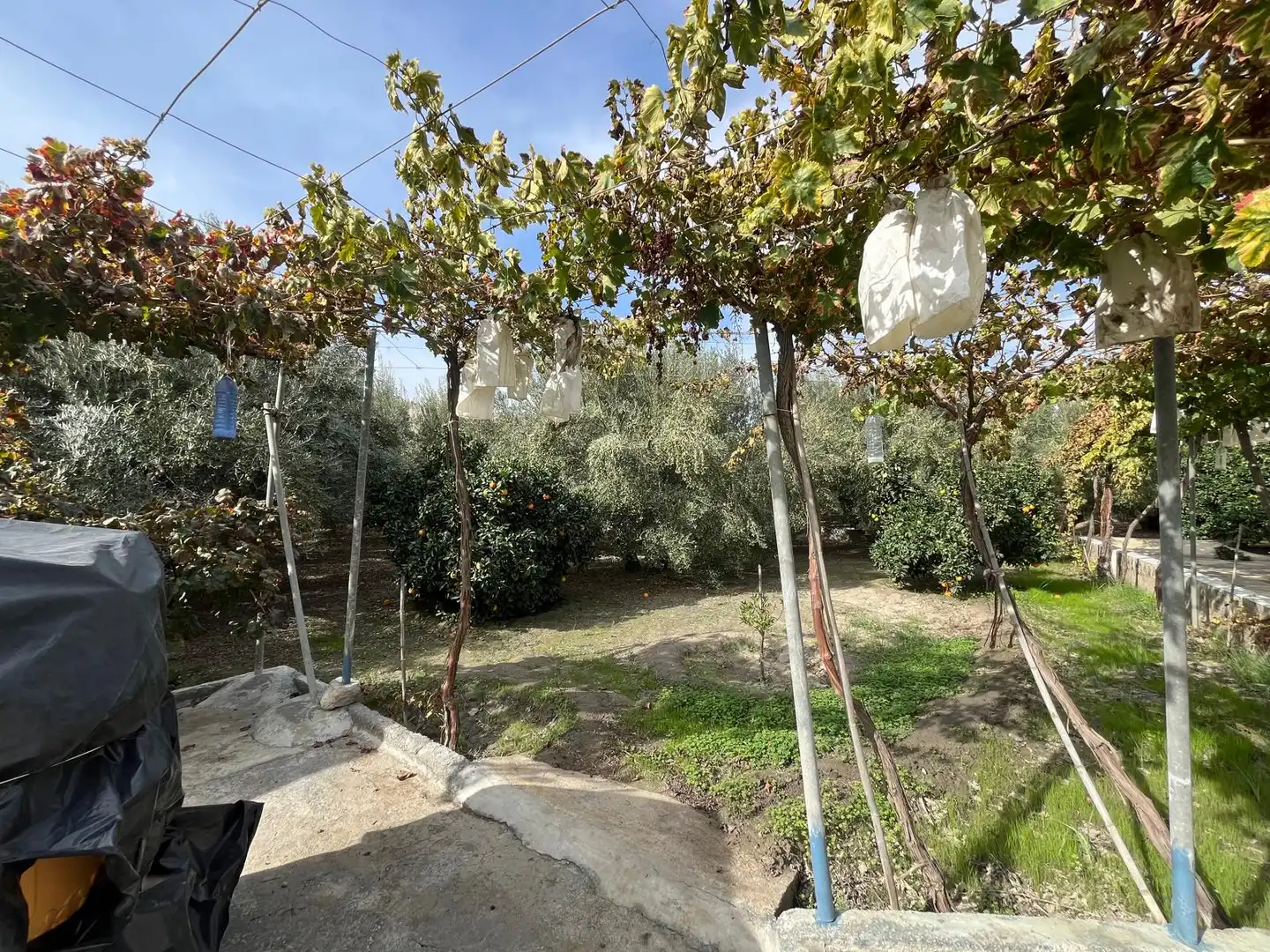 Jardín de Terreno en venta en Alsodux