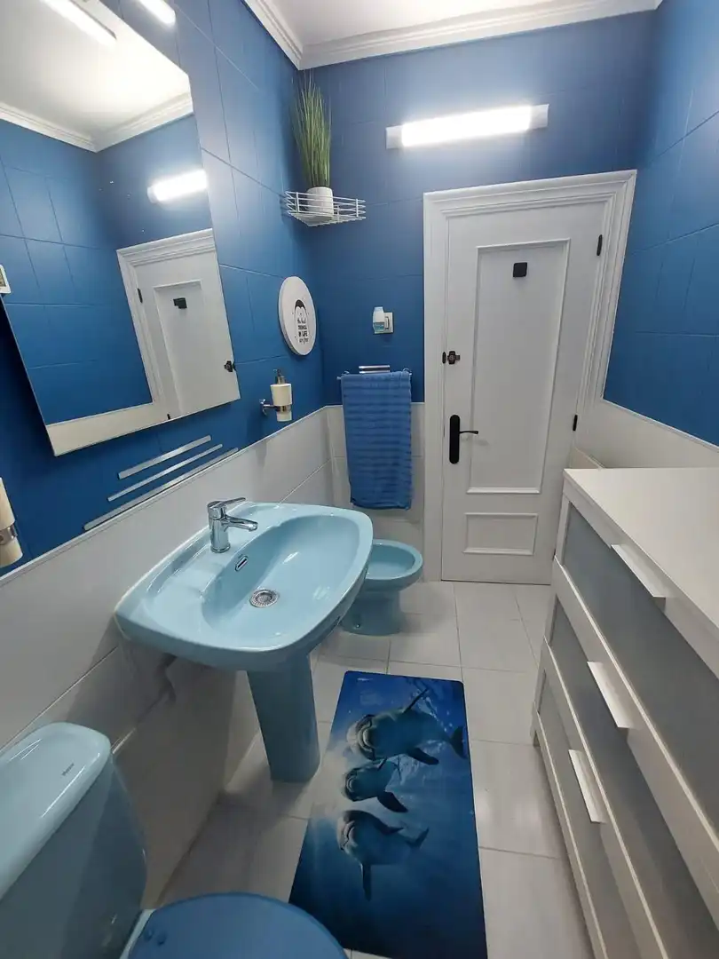 Flat with lift for sale in Calle Calle Brasil, imagen 26