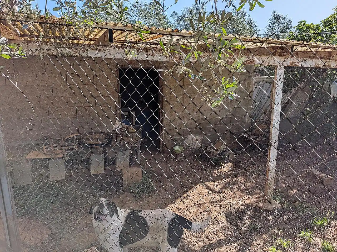 Country homes for sale in Ulldecona  with Terrace, Storage room and Swimming Pool