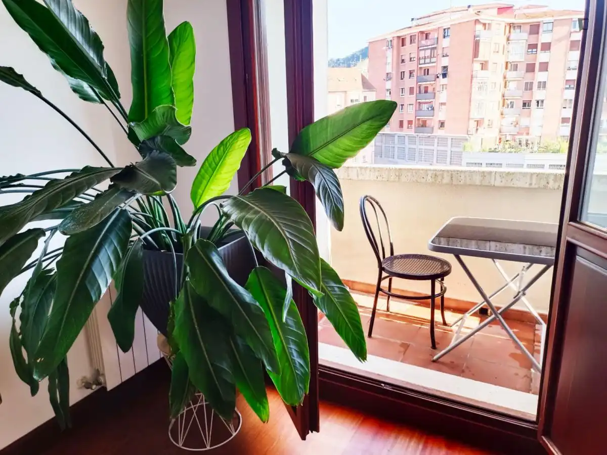 Habitació a Iralabarri